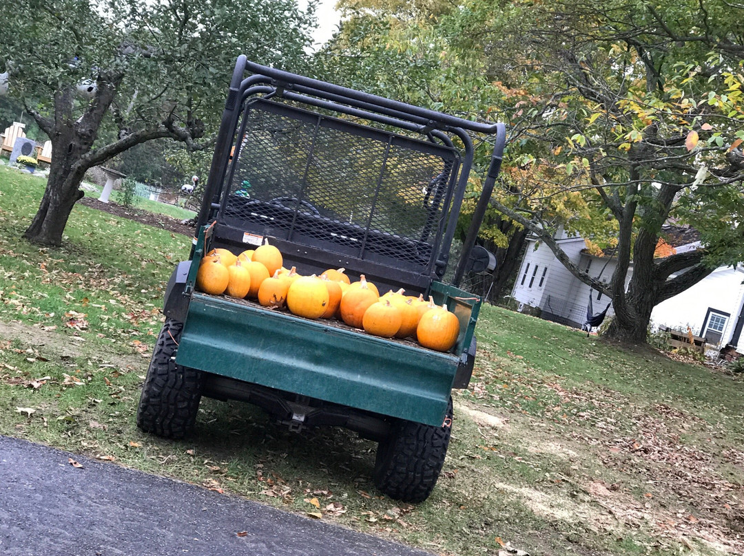 Chestnut Hill Farm景点图片
