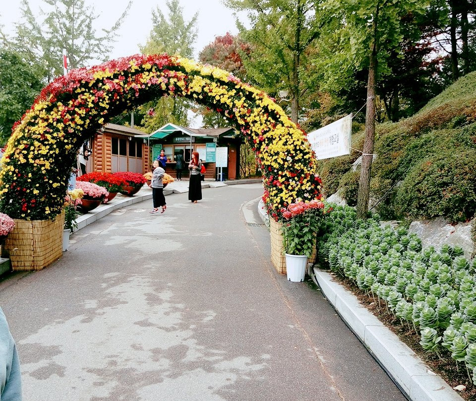 Yongin Agriculure Theme Park-龙仁市必去景点