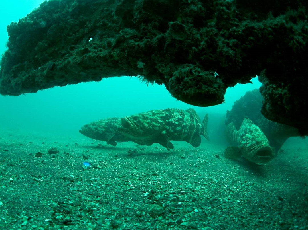 Cocohatchee Nature Adventures-那不勒斯必去景点