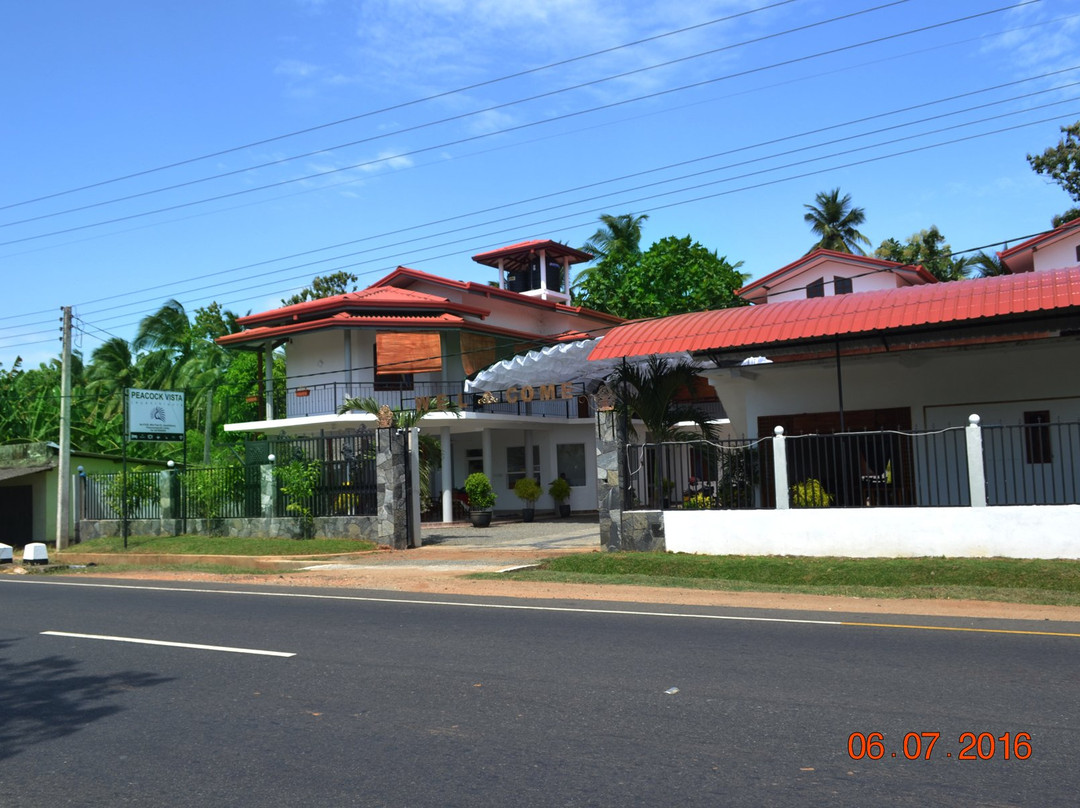 Hotel Peacock Vista主图