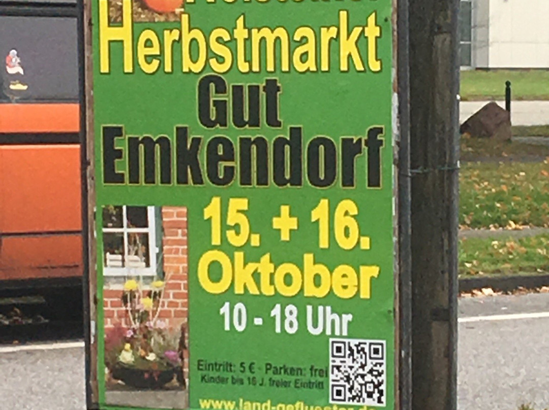 Gut Emkendorf景点图片