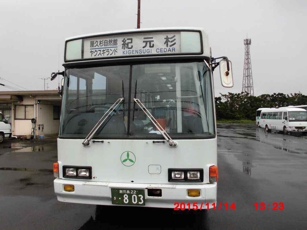 Yakushima Traffic景点图片