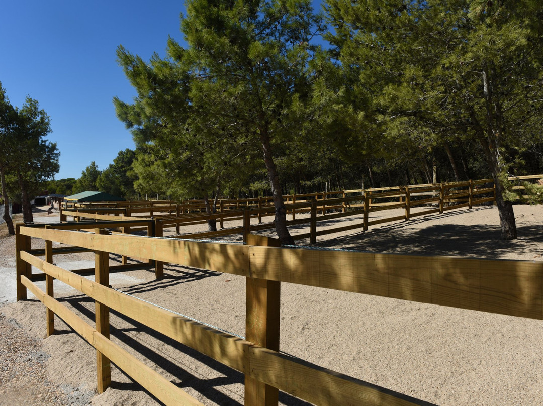 Centro Hipico da Costa do Estoril-卡斯凯什必去景点