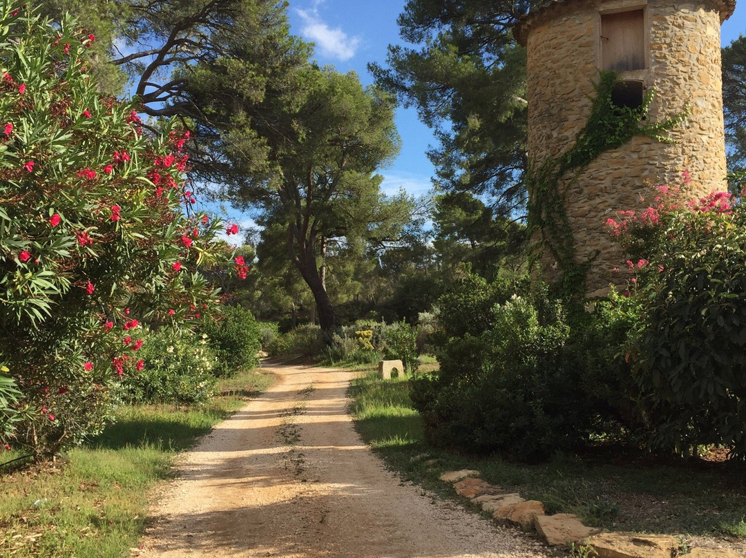 Domaine de l'Olivette景点图片