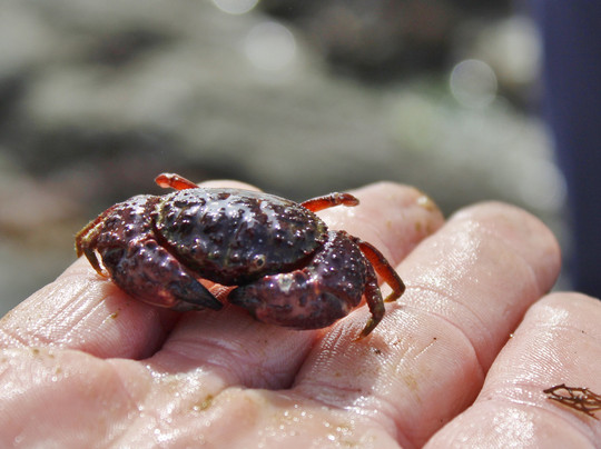 Aquanaut Tours-斯瓦科普蒙德必去景点