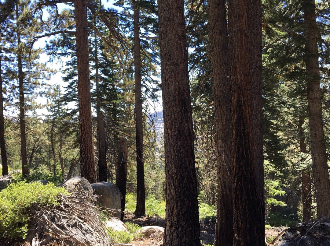 Aspen Meadows Pack Station景点图片