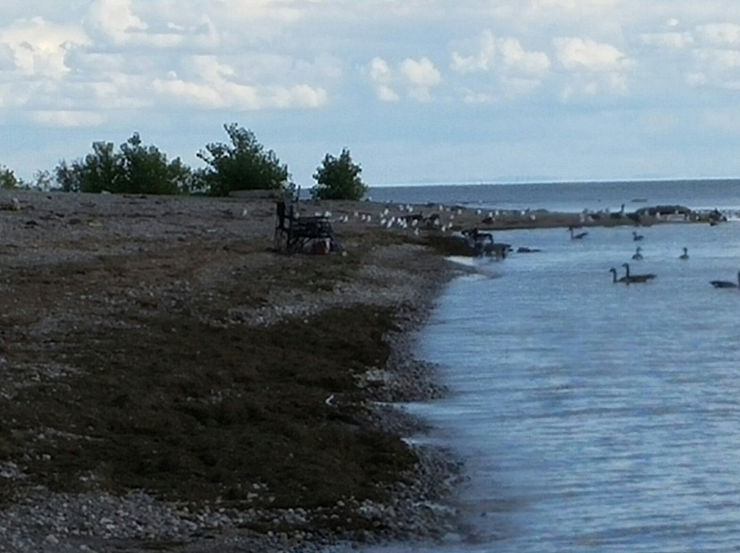 Long Beach Conservation Area-Wainfleet必去景点
