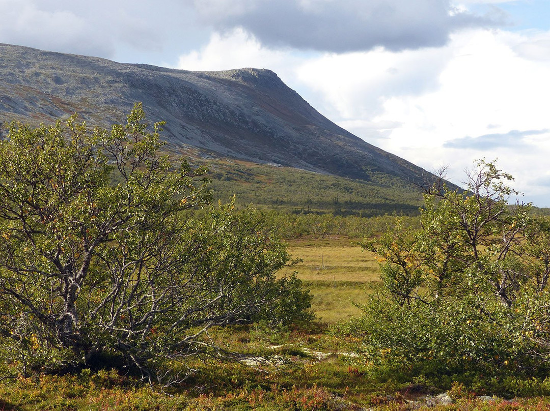 Härjedalen旅游攻略图片