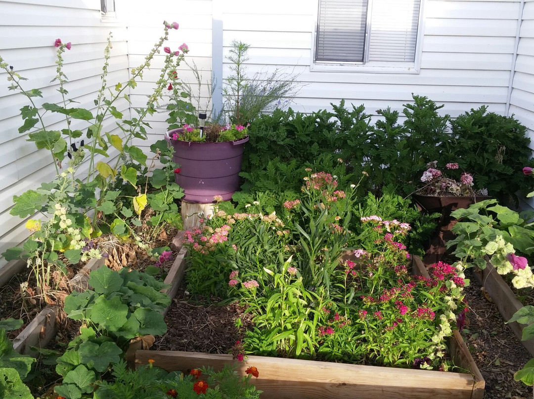 Junction旅游攻略图片