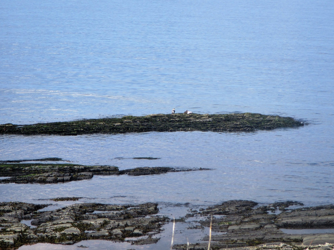 Motel le Noroit主图