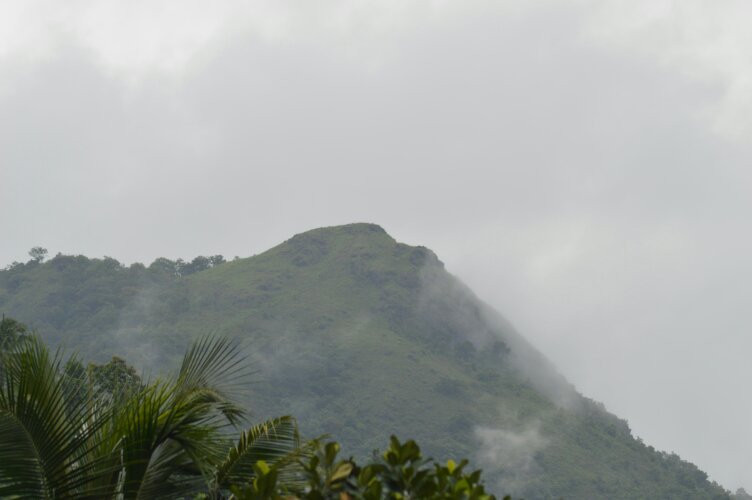 Kottancheri Hills景点图片
