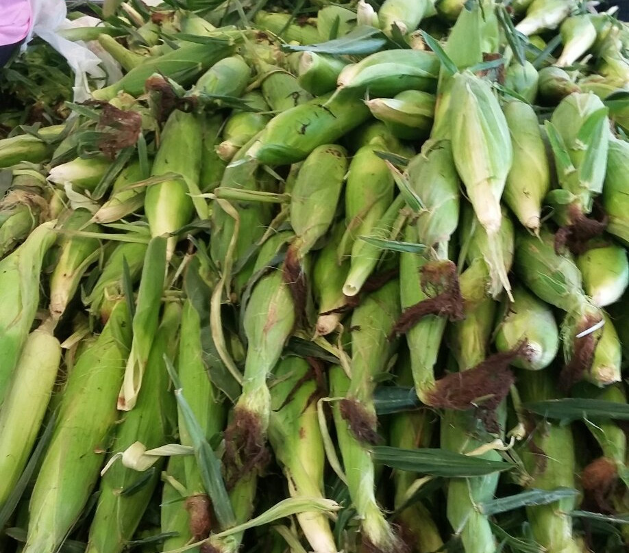 Grandy Greenhouse Farm Market-Grandy必去景点