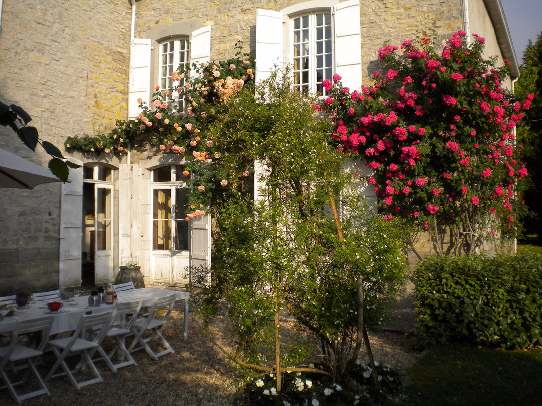 Maison Darthezenea主图