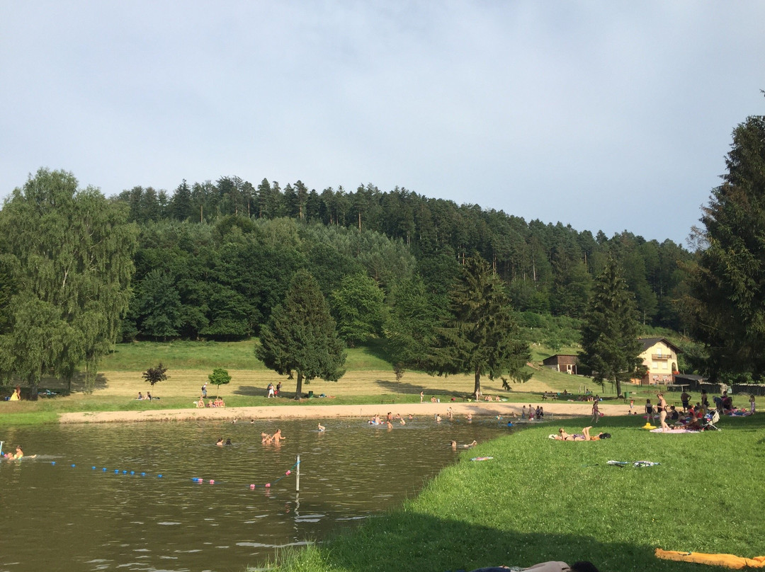 Etang de Walscheid-Walscheid必去景点