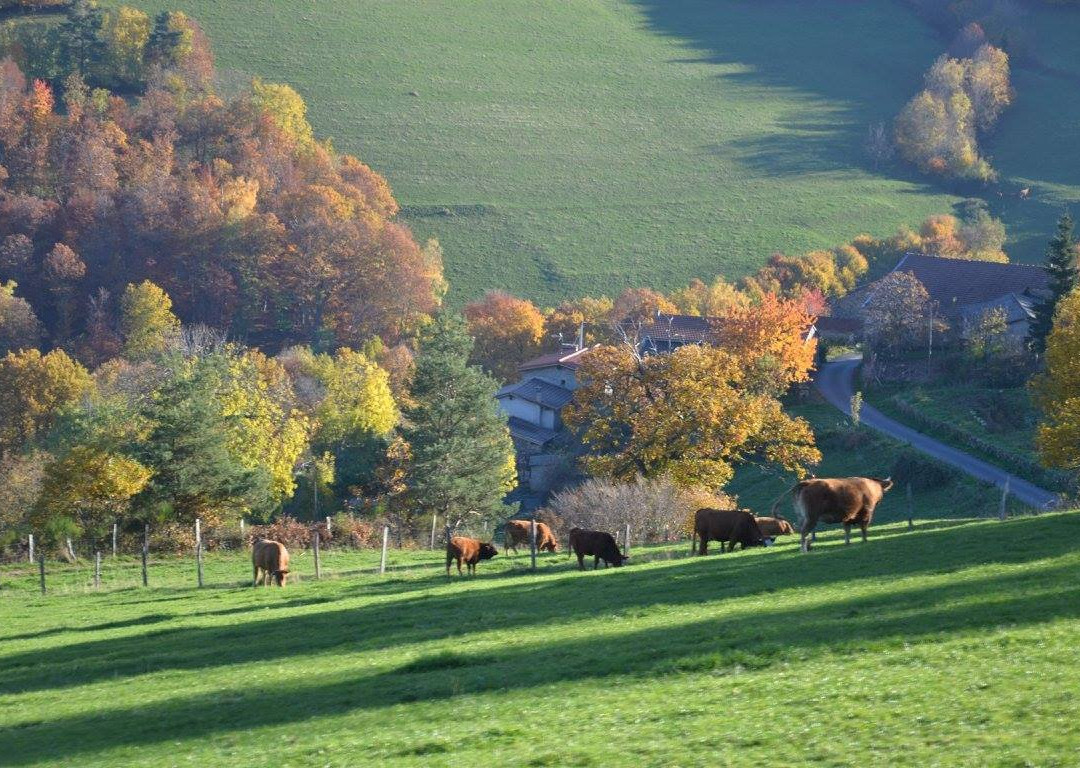 Aire Naturelle de Camping Les Cerisiers