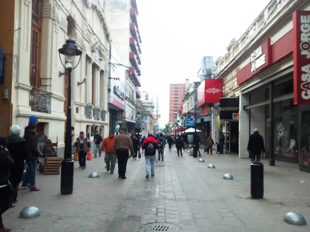 Peatonal Belgrano-San Salvador de Jujuy必去景点