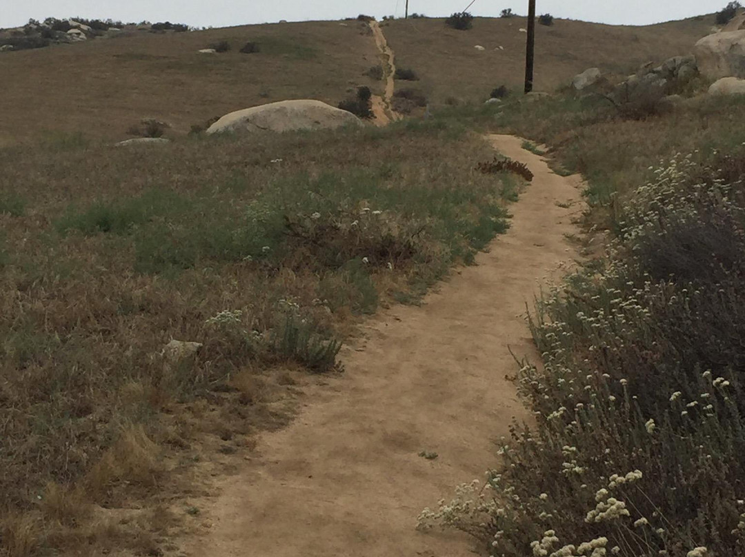 Box Springs Mountain Reserve-莫雷诺谷必去景点