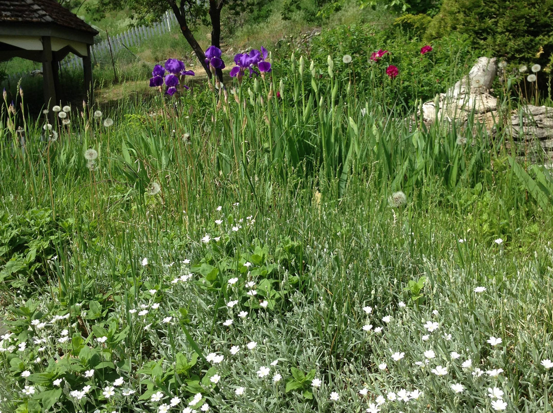 Miyazaki House-Lillooet必去景点
