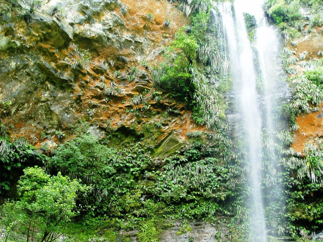 Tupapakurua Falls Lookout景点图片