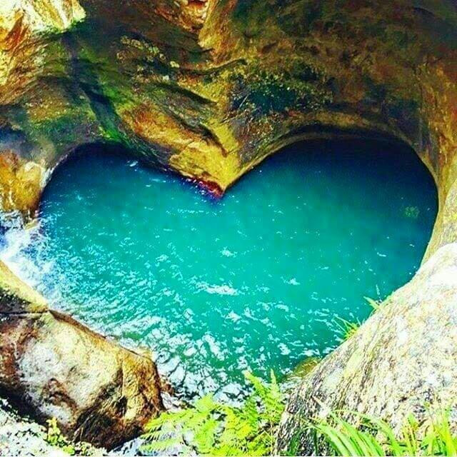 格拉斯顿伯里酒店住宿-Pilgrims B&B