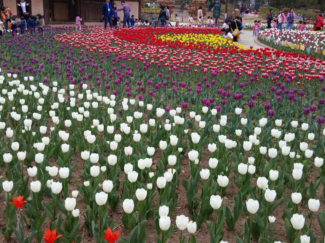 Bucheon Natural Ecological Park-富川市必去景点
