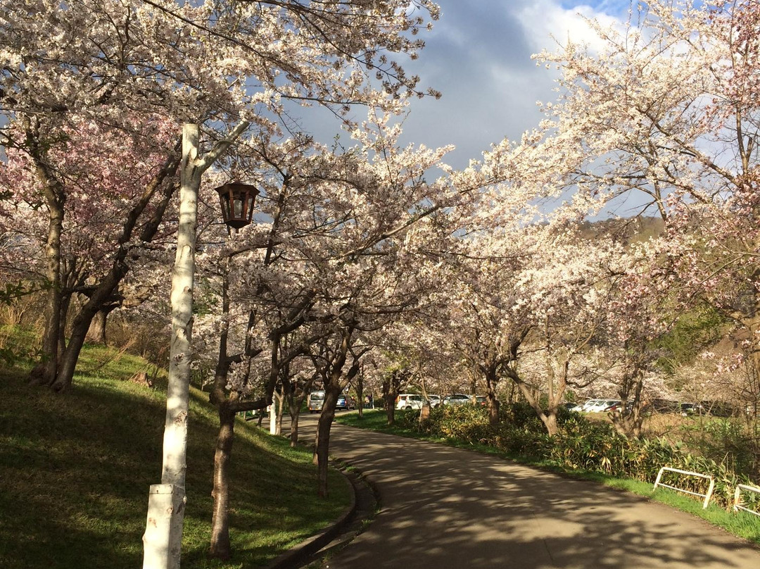 Tomei Park-美呗市必去景点