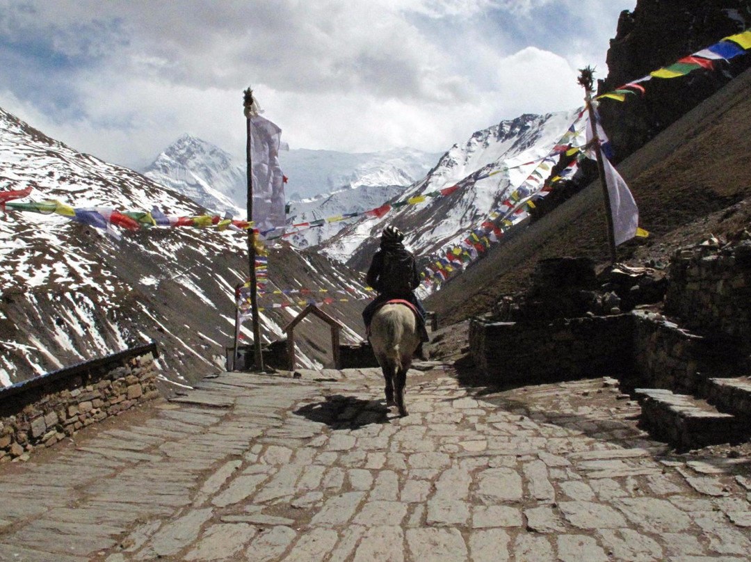 Everest Hiking Treks & Expedition - Day Tours-Kirtipur必去景点