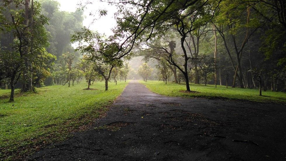 Kebun Raya Purwodadi-巴苏鲁安必去景点