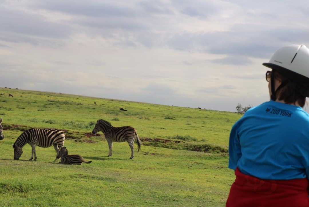 African Horse Safaris景点图片
