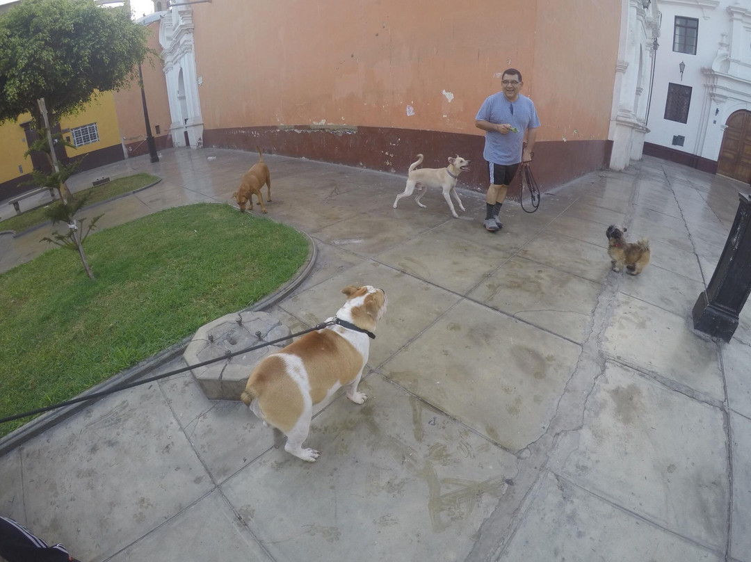 Iglesia de La Merced-特鲁希略必去景点