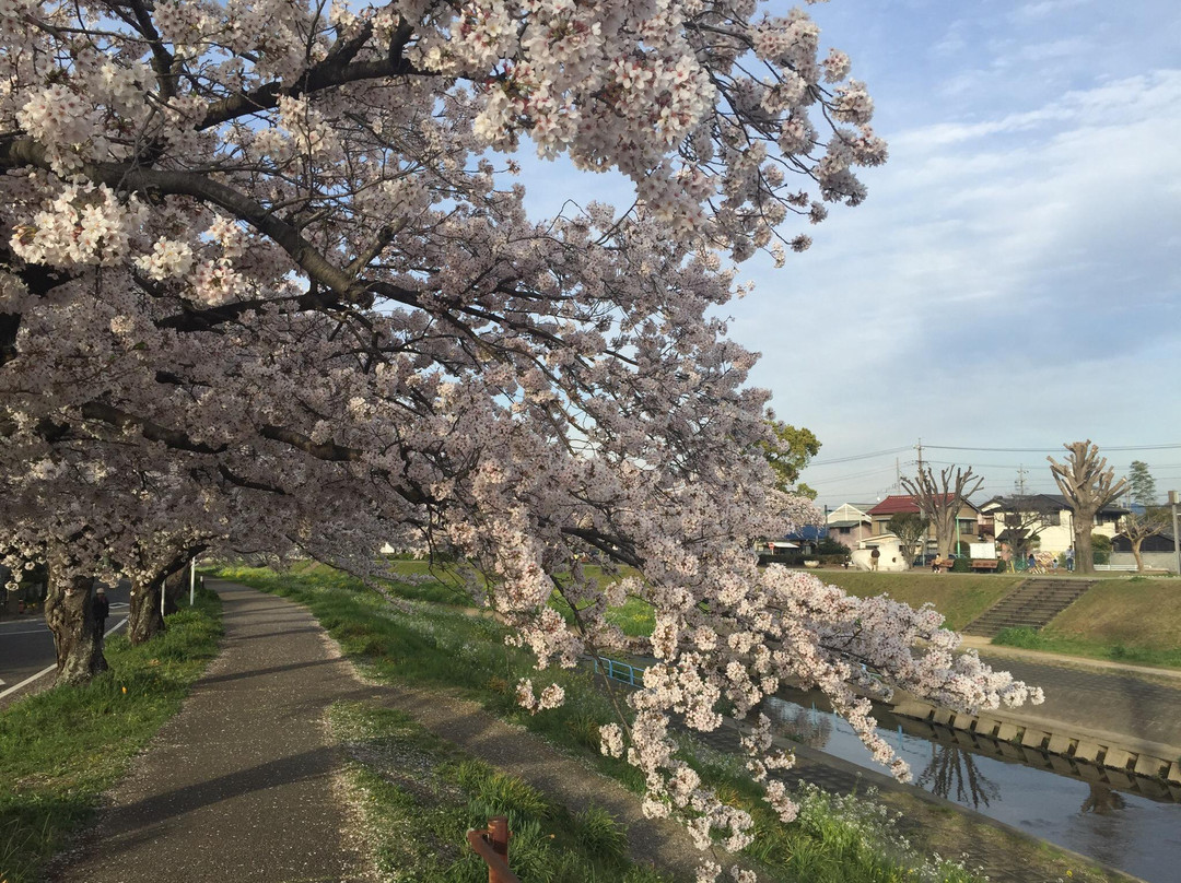 Sanagawa Embankment-丰川市必去景点