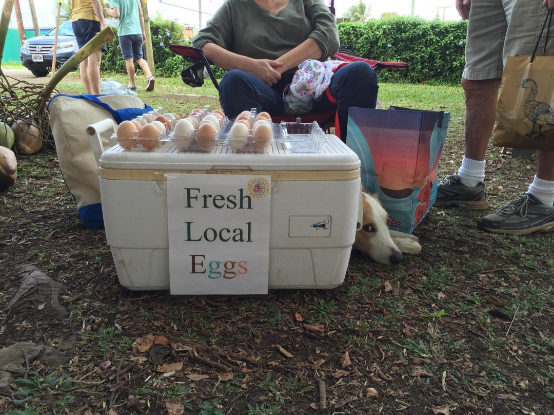 Hawi Farmers Market-哈威必去景点