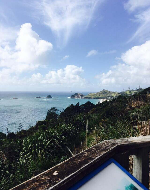 Oh Yeah Tours-皮哈海滩必去景点