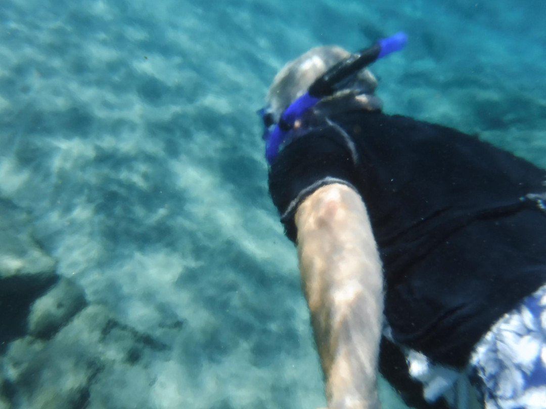 Boss Frog's Snorkel Rentals - Kaanapali-Napili-Honokowai必去景点