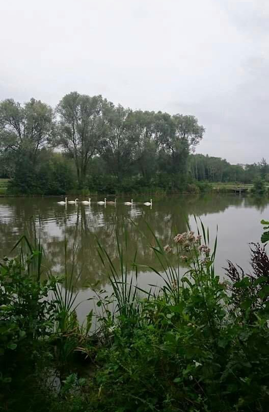 Parc de La Porte du Hainaut-Raismes必去景点