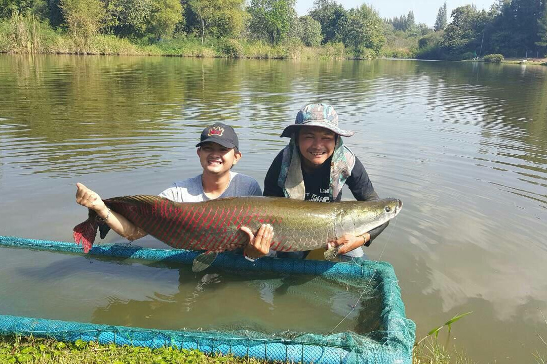 Sport Fishing Specimen lake 2景点图片