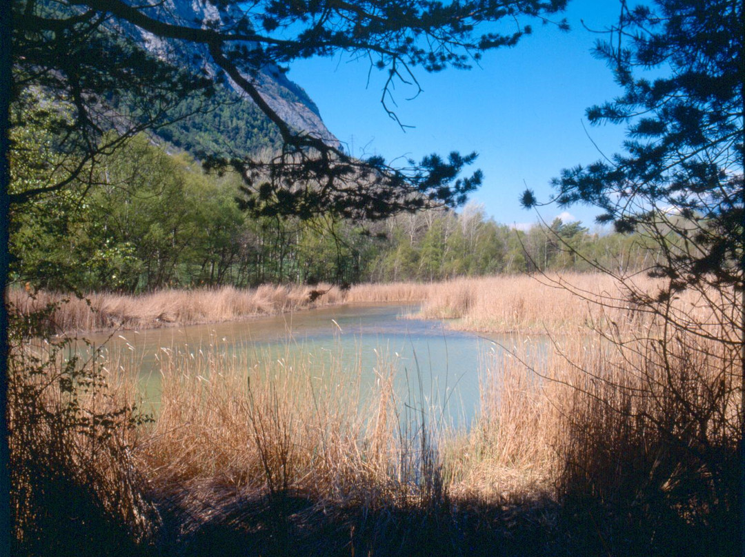 Naturpark Pfyn-Finges-谢尔必去景点