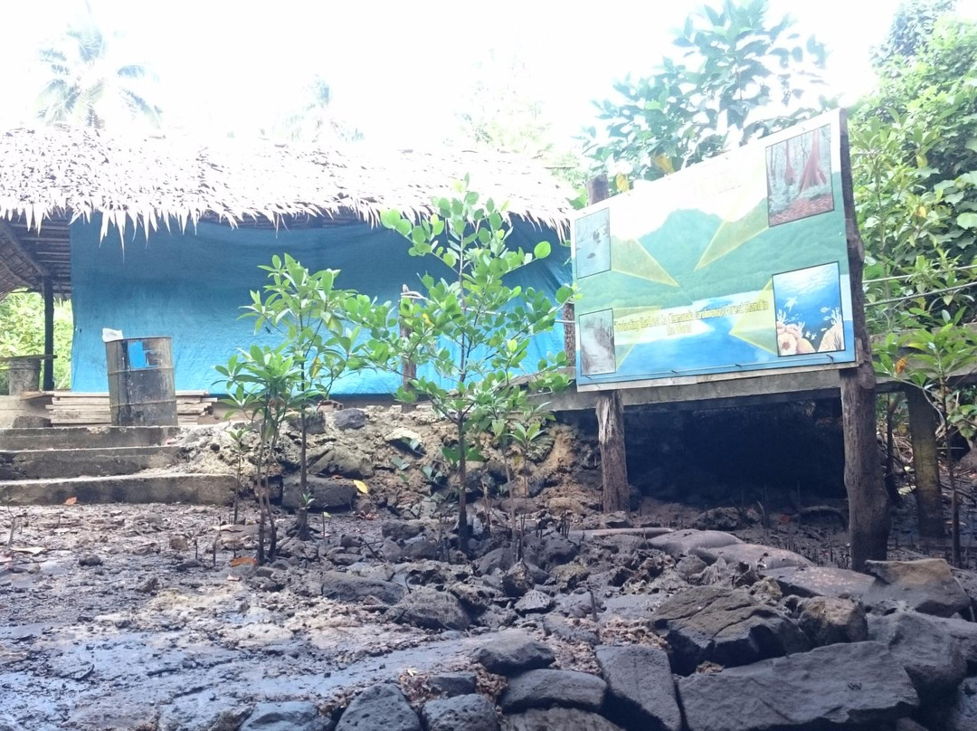 Yela Valley Ka Forest-Kosrae必去景点