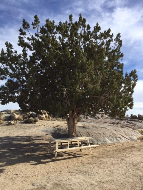 The Mojave Cross-Cima必去景点