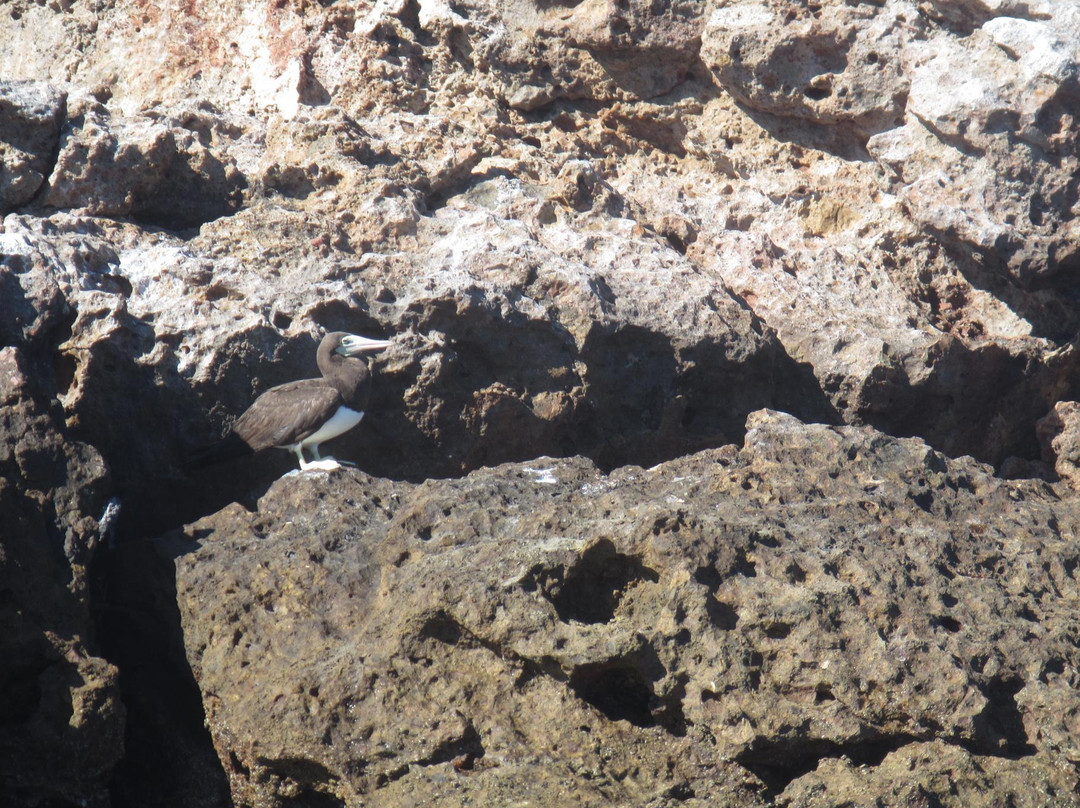 Punta Mita Charters-蓬塔米塔必去景点