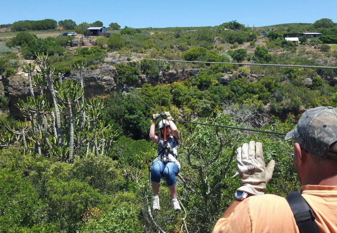 Walkabout Adventures - Zipline景点图片