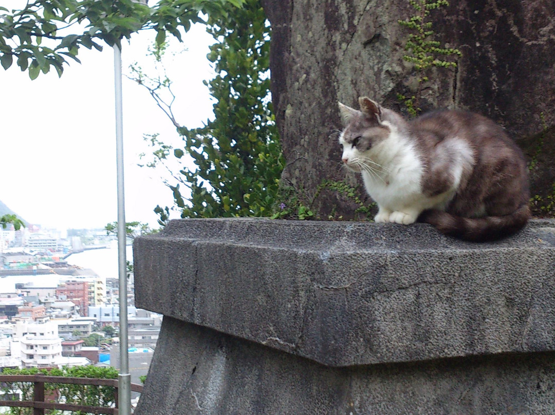 Mt.Ogami-奄美市必去景点