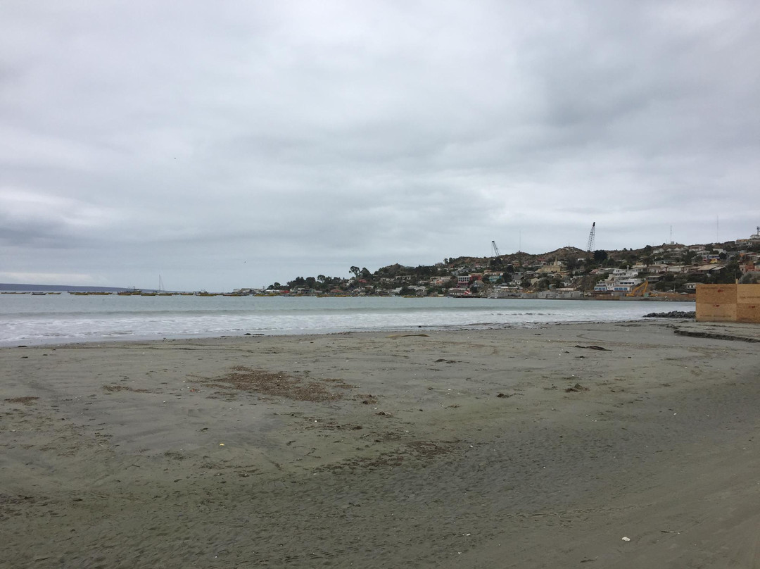 Playa Grande-Tongoy必去景点