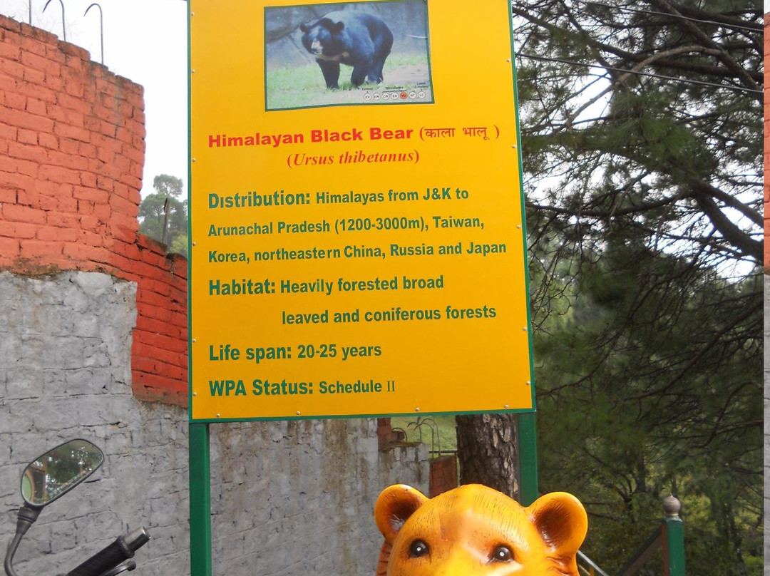Dhauladhar National Park景点图片