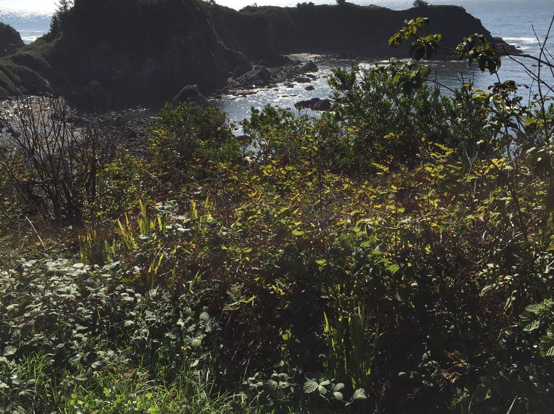 Chetco Point Park-布鲁金斯必去景点