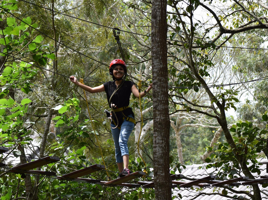 TreeTop Adventure Park景点图片