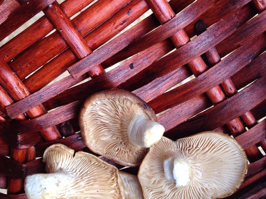 Hotel Monasterio de Tejeda主图