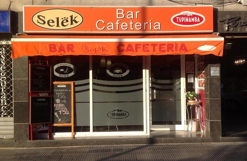 Selek