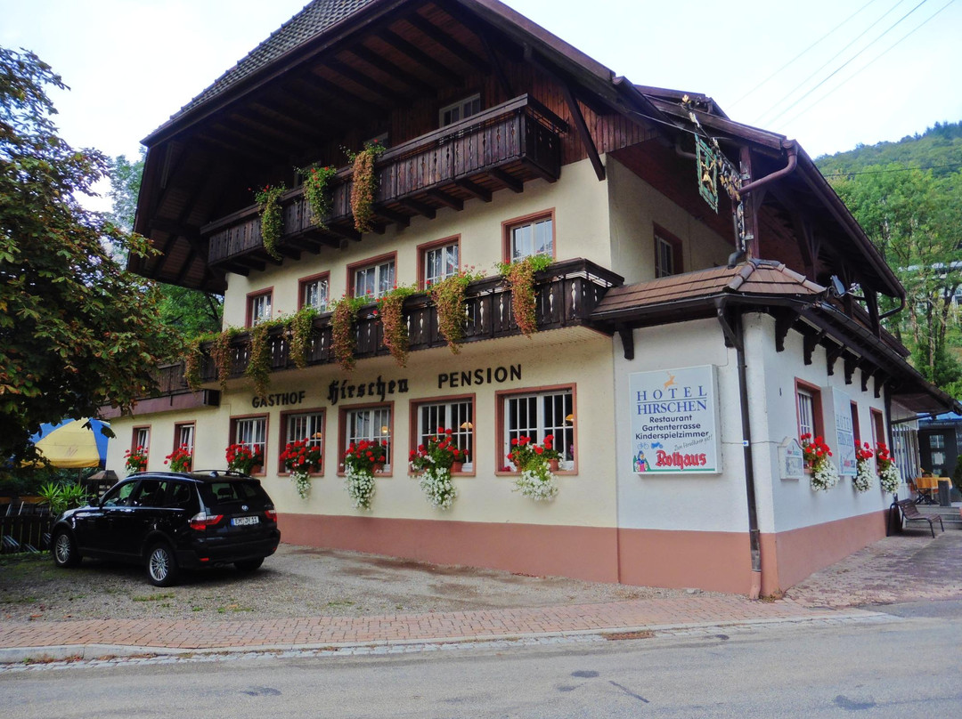 Elzach-Oberprechtal酒店住宿-Hotel Hirschen