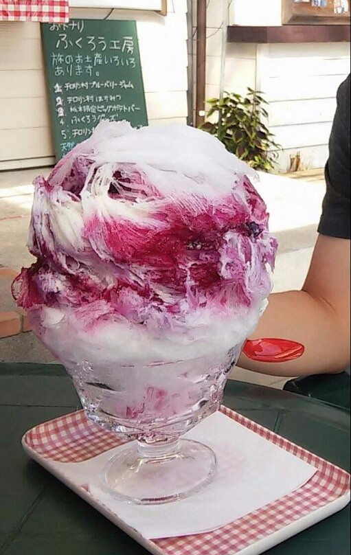 Nikko Kirifuri Kogen Chirorin Village-栃木市必去景点